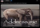 A meme reading "How I feel when I’m in a room with one of my ops." The meme shares an image of an elephant in a room.