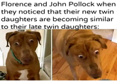 Florence and John P------ when they noticed that their new twin daughters are becoming similar to their late twin daughters: