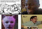 "Genetically Engineered Catgirls are Possible," Scientists say, "but we lack funding." YC S *Confused screaming* made with mematic