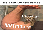 Hold until winter comes Russian Winter