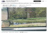 X user @AlHendiify quoted a photo of a black panther spotted in Mississippi, writing, "Delete the metadata off this photo. I'm so serious," and gathering over 15 million views and 140,000 likes in two days. The post was seemingly an attempt to deter poachers from finding the location of the panther; however, other internet users were quick to point out that X automatically strips the metadata from image uploads.