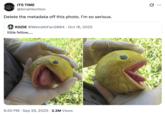 X user @binahbortion tweeted the "Delete the metadata" copypasta in response to a photo of a hyperrealistic Pac-Man sculpture, gathering over 49,000 likes in a day.