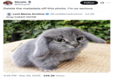 X user @Slorpler tweeted the "Delete the metadata" copypasta in response to a photo of the "Gray Cabbit":https://knowyourmeme.com/memes/gray-cabbit meme.