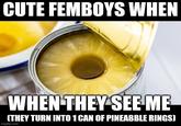 CUTE FEMBOYS WHEN WHEN THEY SEE ME (THEY TURN INTO 1 CAN OF PINEABBLE RINGS) imgflip.com