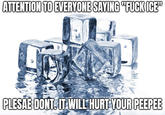 ATTENTION TO EVERYONE SAYING "F--- ICE" PLESAE DONT. IT WILL HURT YOUR PEEPEE