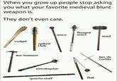 When you grow up people stop asking you what your favorite medieval blunt weapon is. They don't even care. flanged mace mace maul ALAFT cudgel spiked club war hammer morningstar quarterstaff flail bec de corbin