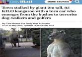 Daily Mail MORE STORIES Town stalked by giant 2m tall, 95 KILO kangaroo with a torn ear who emerges from the bushes to terrorise dog-walkers and golfers By Tina Brodal For Daily Mail Australia 07:37 23 May 2015, updated 13:16 23 May 2015