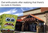 Owl enthusiasts after realizing that there's no owls in Hooters. POKER HOOTERS w/evan-lolz 10 GD Only