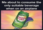 Me about to consume the only suitable beverage when on an airplane 6 www SINCE 1904 CANADA DRY u/evan_lolz Made from Real Ginger CAFFEINE FREE GINGER ALE 100% Natural Flavors