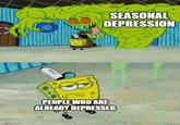 FL 0+ SEASONAL DEPRESSION PEOPLE WHO ARE ALREADY DEPRESSED