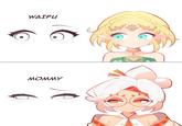A version of the Waifu vs. Mommy eyes meme. The meme compares Zelda and Purah.