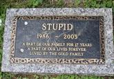 STUPID 1986 2003 A PART OF OUR FAMILY FOR 17 YEARS A PART OF OUR LIVES FOREVER LOVED BY THE GOLD FAMILY