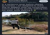Samantha Maich @samanthamaich.bsky.soc... Follow In a sentence never before uttered by humans, I am delighted to share that an alligator stole my conservation instructor's hat by jauntily walking into the water while wearing it ALT