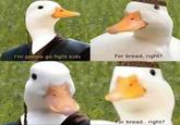 I'm gonna go fight kids For bread, right? For bread.. right?