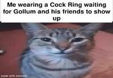 Me wearing a C--- Ring waiting for Gollum and his friends to show up made with mematic