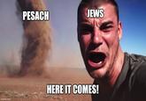 PESACH JEWS imgflip.com HERE IT COMES!