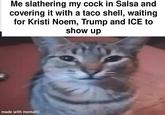 Me slathering my c--- in Salsa and covering it with a taco shell, waiting for Kristi Noem, Trump and ICE to show up made with mematic