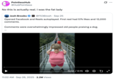 A "tweet":https://knowyourmeme.com/memes/sites/twitter-x about the "AI Video":https://knowyourmeme.com/memes/cultures/ai-video of a woman breaking a glass bridge by jumping backward with a big rock.