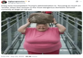 A "tweet":https://knowyourmeme.com/memes/sites/twitter-x about the "AI Video":https://knowyourmeme.com/memes/cultures/ai-video of a woman breaking a glass bridge by jumping backward with a big rock.