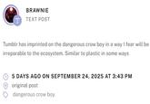 A post reading, "Tumblr has imprinted on the dangerous crow boy in a way I fear will be irreparable to the ecosystem. Similar to plastic in some ways."