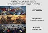 WARHAMMER FACTIONS BE LIKE Aztecs, but lizards Egyptians, but skeletons French, but human