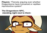 Players: *Fiercely arguing over whether Dragonborns have humanoid or reptilian reproductive system* The Dragonborn NPC, standing right next to them: