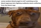 some random blood angel in m37 watching as the black legionary he's fighting suddenly starts suffering from the black rage