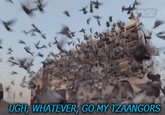UGH, WHATEVER, GO MY TZAANGORS