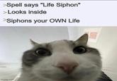 >Spell says "Life Siphon" >Looks inside >Siphons your OWN Life imgflip.com