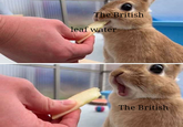 The British leaf water The British