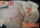 _Life of a Showgirl_ album cover parody depicting plain rice and boiled chicken.