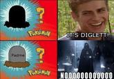 Padme 25 POKÉMON IT'S DIGLETT! POKEMON N000000000000