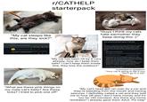 "My cat sleeps like this, are they sick?" r/CATHELP starterpack "Guys I think my cats hate eachother they keep doing this:(" Your account has been given a warning [deleted] Comment removed by Reddit alamy 284 +34 CATHELP-ModTeam MOD 10h Your post has been removed because it contained irrelevant or unhelpful advice. 413 alamy "My cat has been hit by 5 cars already, how do I keep them safe? I can't keep them inside btw, they love the outdoors" Hi Reddit is a vast network of communities that are created, run, and populated by people like you. In order to keep communities welcoming, safe, and great places to be, everyone who uses the platform operates by a shared set of rules-a set of rules you may not have realized you broke. Warning for harassment We flagged the following as a potential policy violation: • Content shared from on 10/03/2025 UTC After reviewing, we found that you broke Rule 1 by engaging in harassment. Reddit is a place for creating community and belonging, not for harassing or bullying people. We don't tolerate any behaviors that discourage others from participating in communities, conversations, or the Reddit platform through harassment, bullying, intimidation, sexualizing someone without their consent, or abuse. Any communities or people that incite or engage in harassment or abuse towards an individual or group will be banned. As a result, we're issuing this warning and asking you not to break this rule again. Comment in question: "Your cat is going to die if you don't go to a vet" "What are these pink things on my male cat's belly? Are these ticks? I tried to pick one off" "My cat's head got ran over by a car and they're bleeding from the mouth and having seizures. I definitely called a vet and they told me to f--- off also I don't have money and it's too far (30 minutes). Are there any home remedies? I already gave them Advil. Plz help"