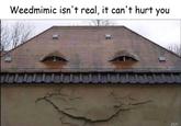 Weedmimic isn't real, it can't hurt you Coolwearesake WW