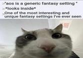 >"aos is a generic fantasy setting" >*looks inside* One of the most interesting and unique fantasy settings I've ever seen imgflip.com
