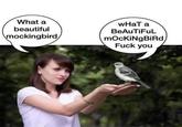 What a beautiful mockingbird WHAT a BeAuTiFuL mOcKiNgBiRd F--- you