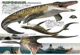 モササウルス Mesosaurus ぜんちょう メートル たじゅう ●全長/ 30.5m 体重/20t ゾーラたちが狙う さいだいせいぶつ の最大生物。 かつてジュラシック・ワールドで飼育され べつ ていたモササウルスとは別の個体で、 インジェン 社によってつけられた追跡用のGPSでは エム にんしきばんごう 「M142」 という認識番号になって シービーエス いる。 インジェン社からGPS のデータを引き継いだパー カージェニックス社によ り、 赤道に近いサ ユベール島付 スピノサウルスを捉えた撃で、 エセックス号を危機に陥れた クジラのようなジャ ンプを行うのが特徴。 かいゆう 近を回遊している のが確認され せんぱく こうげき ていた。なわばりに入る船舶を攻撃 せいしつ する性質で、 デルガドー家のヨッ トマリポーサ号や、 ゾーラたち が乗るエセックス号を襲った。 (「ジュラシック・ワールド ふっかつ だいち 「復活の大地』 ジュラシック・ワールド