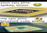 your cpu pins: spikey, Gross my cpu pins: brushed, cute, pretty
