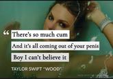 66 There's so much c-- And it's all coming out of your penis Boy I can't believe it TAYLOR SWIFT "WOOD" MADE WITH THE GENIUS APP