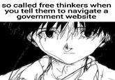 so called free thinkers when you tell them to navigate a government website