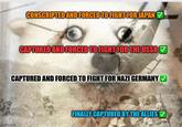 CONSCRIPTED AND FORCED TO FIGHT FOR JAPAN CAPTURED AND FORCED TO FIGHT FOR THE USSR CAPTURED AND FORCED TO FIGHT FOR NAZI GERMANY ✓ imgflip.com FINALLY CAPTURED BY THE ALLIES