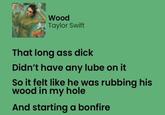 THE POPE Wood Taylor Swift That long ass d--- Didn't have any lube on it So it felt like he was rubbing his wood in my hole And starting a bonfire