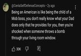 @CenlaSelfDefenseConcepts • 2y ago Being an American is like being the child of a Mob boss, you don't really know what your Dad does only that he provides for you, then you're shocked when someone throws a bomb through your living room window. 30K