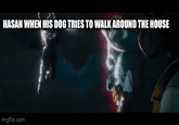 HASAN WHEN HIS DOG TRIES TO WALK AROUND THE HOUSE imgflip.com