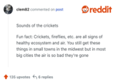 Sounds of the crickets

Fun fact: Crickets, fireflies, etc. are all signs of healthy ecosystem and air. You still get these things in small towns in the midwest but in most big cities the air is so bad they're gone