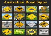 Australian Road Signs جمعه GIVE WAY 27 LIVE HERE TOO Please DRIVE CAREFULLY PLEASE DRIVE CAREFULLY WE LIVE HERE TOO MARINE STINGERS GIVE WAY TO PENGUINS DANGER FALLING COCONUTS NEXT 10km WATCH FOR WILDLIFE