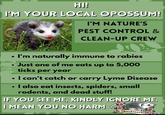 HI! I'M YOUR LOCAL OPOSSUM! I'M NATURE'S PEST CONTROL & CLEAN-UP CREW • I'm naturally immune to rabies Just one of me eats up to 5,000 ticks per year • I can't catch or carry Lyme Disease I also eat insects, spiders, small rodents, and dead stuff! IF YOU SEE ME, KINDLY IGNORE ME. I MEAN YOU NO HARM Aaaaaaaaaaahhh