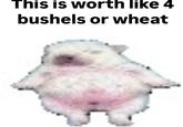 This is worth like 4 bushels or wheat