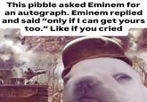 This pibble asked Eminem for an autograph. Eminem replied and said "only if I can get yours too." Like if you cried