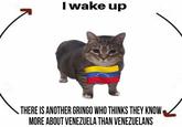 I wake up THERE IS ANOTHER GRINGO WHO THINKS THEY KNOW MORE ABOUT VENEZUELA THAN VENEZUELANS